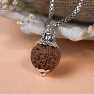 5 Mukhi Rudraksha