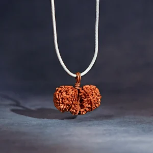 Gauri Shankar Rudraksha